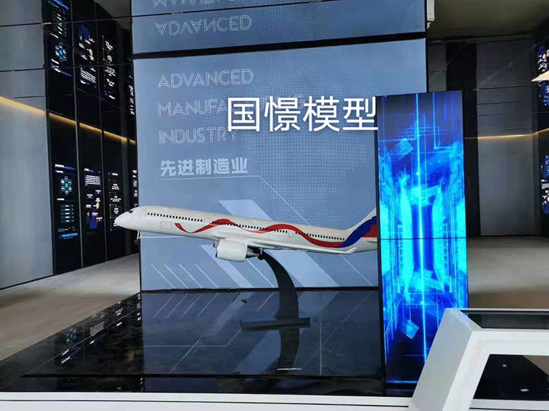 伊犁飞机模型