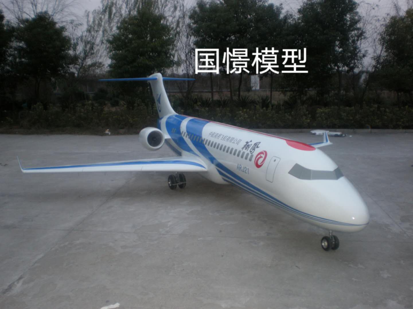 伊犁飞机模型