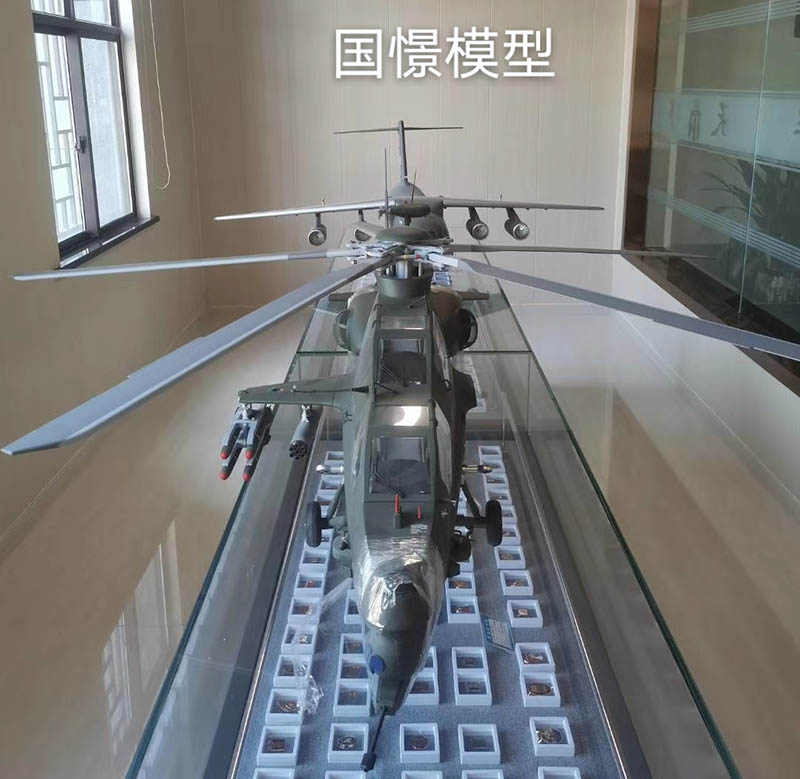 伊犁飞机模型