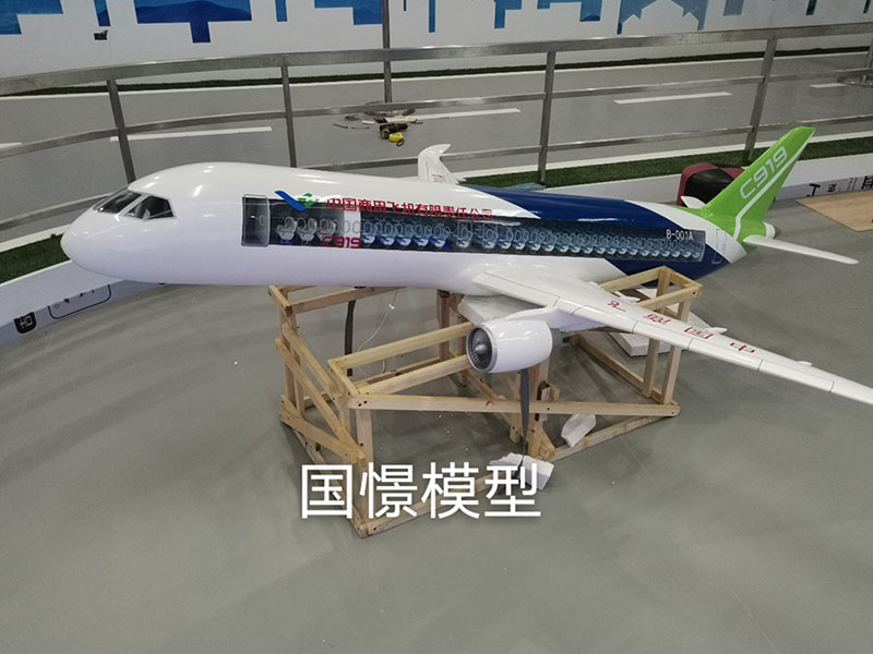 伊犁飞机模型