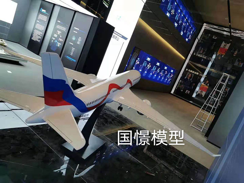 伊犁飞机模型