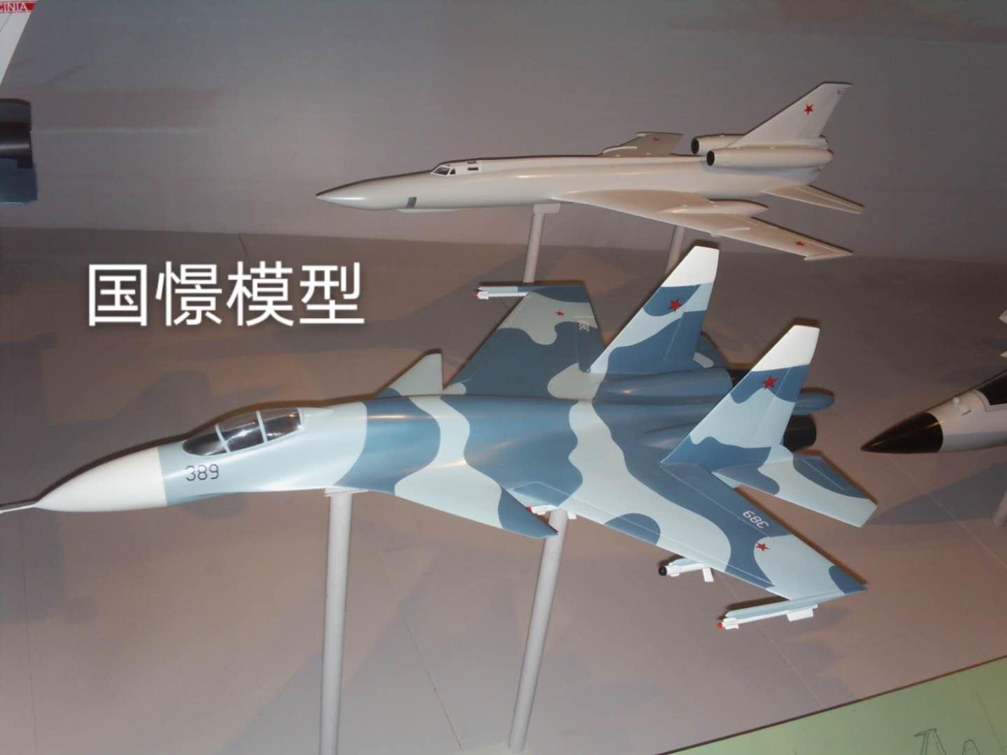 伊犁军事模型