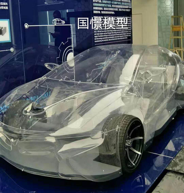 伊犁透明车模型