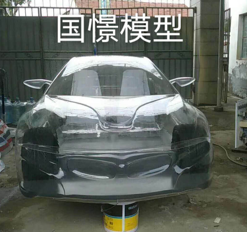 伊犁透明车模型