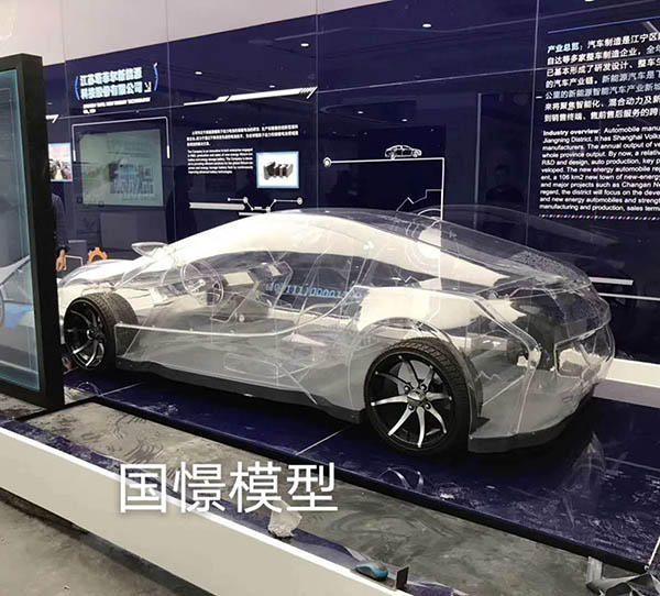 伊犁透明车模型