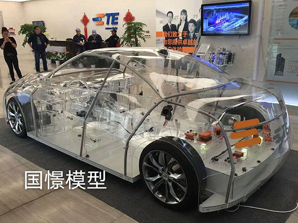 伊犁透明车模型